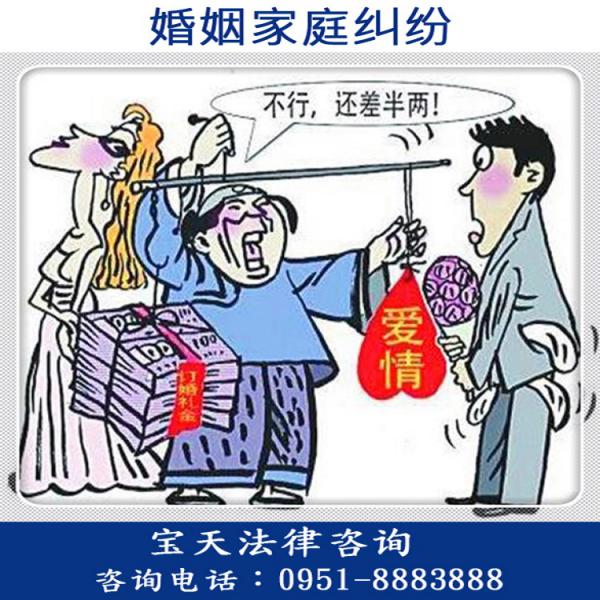 婚姻家庭纠纷法律咨询服务 离婚诉讼纠纷 遗产处理纠纷 子女抚养纠纷