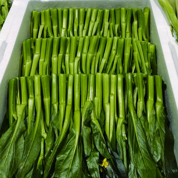 河南新鲜菜心 白菜薹 水白菜花 品质脆嫩 风味独特 可炒食、汤用