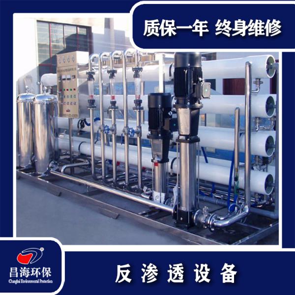 一级反渗透设备 水处理设备 二级反渗透水处理设备 纯净水设备